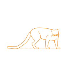Animals Big Cats Jaguarundi Craft Design Svg File, Free Vectors File